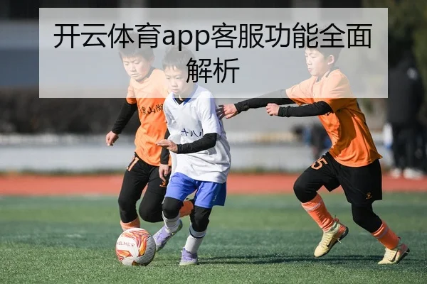 开云体育app客服功能全面解析